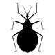 insects82