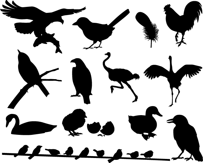 フリーダウンロード素材 シルエットイラスト画像 鳥バード