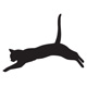 Z_cat99