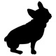 frenchbulldog1