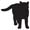 Z_cat12