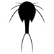 insects142