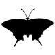 insects28