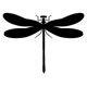 insects41