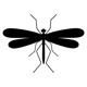 insects46