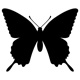 insects6