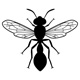 insects64