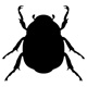insects85