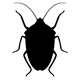 insects87