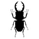 insects96