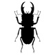 insects97