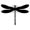 insects41