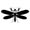 insects45