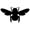 insects56