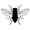 insects61