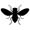insects62