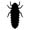 insects83