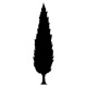 3tree