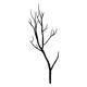 91tree