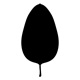 leaf114