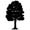 40tree