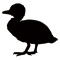 bird28