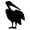 bird70