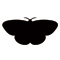 bugs20