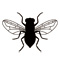 bugs47