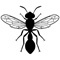 bugs48