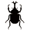 bugs71