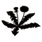 plant127