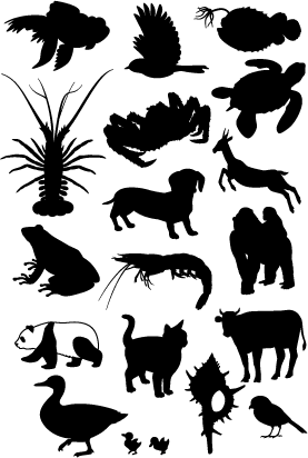 ANIMAL SILHOUETTE